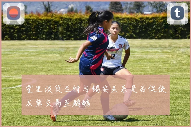 霍里谈莫兰特与锡安关系是否促使灰熊交易至鹈鹕
